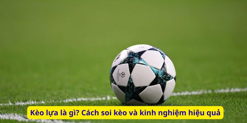 Kèo lựa là gì? Cách soi kèo và kinh nghiệm hiệu quả